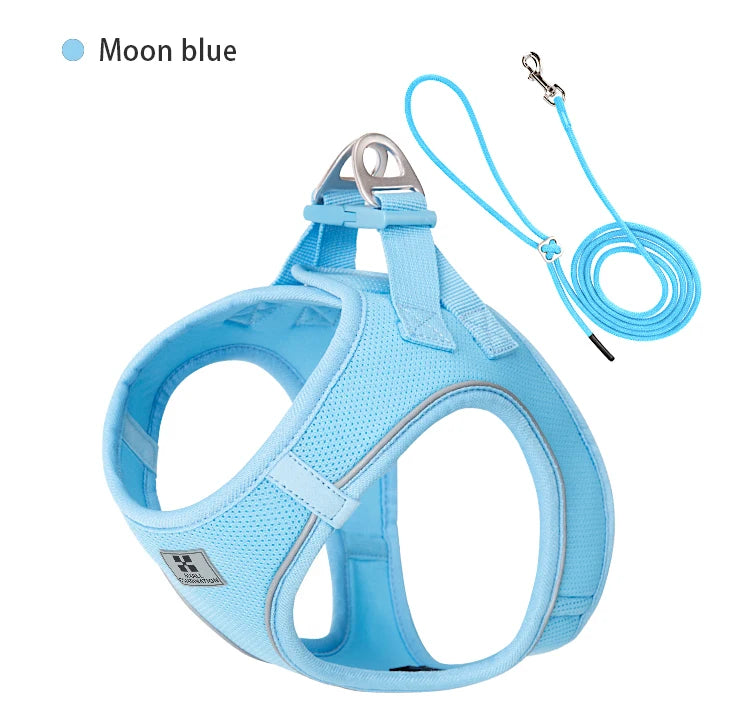 Conjunto de Coleira Ajustável para Cães Pequenos/Médios e Gatos