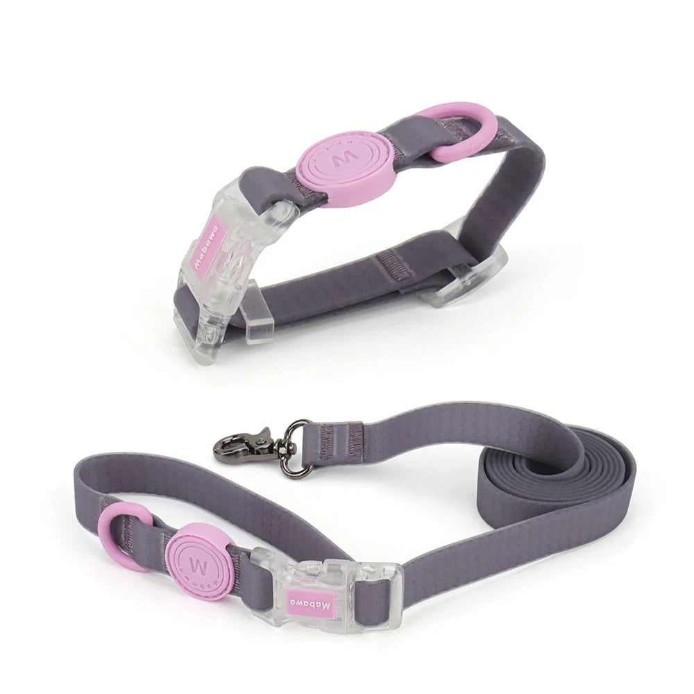 Coleira ou Conjunto Candy Color para Pets