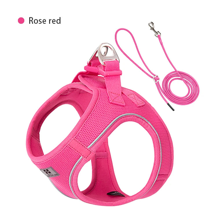 Conjunto de Coleira Ajustável para Cães Pequenos/Médios e Gatos