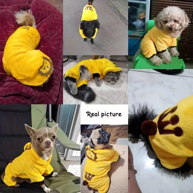 Macacão para Pets – Fantasias Divertidas e Fofas para Cães e Gatos!