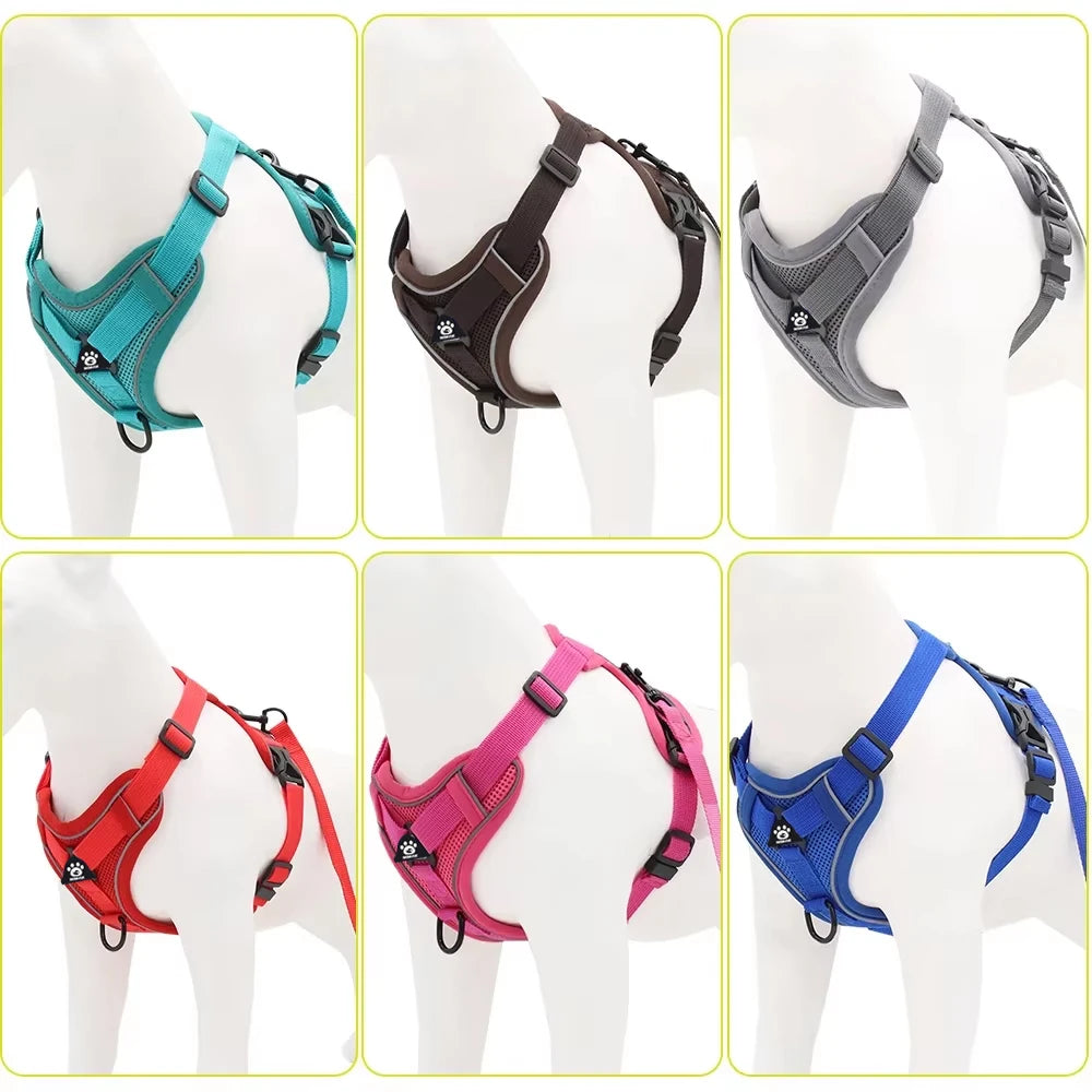 Conjunto de Arnês e Coleira para Pets - Refletivo para passeios noturnos