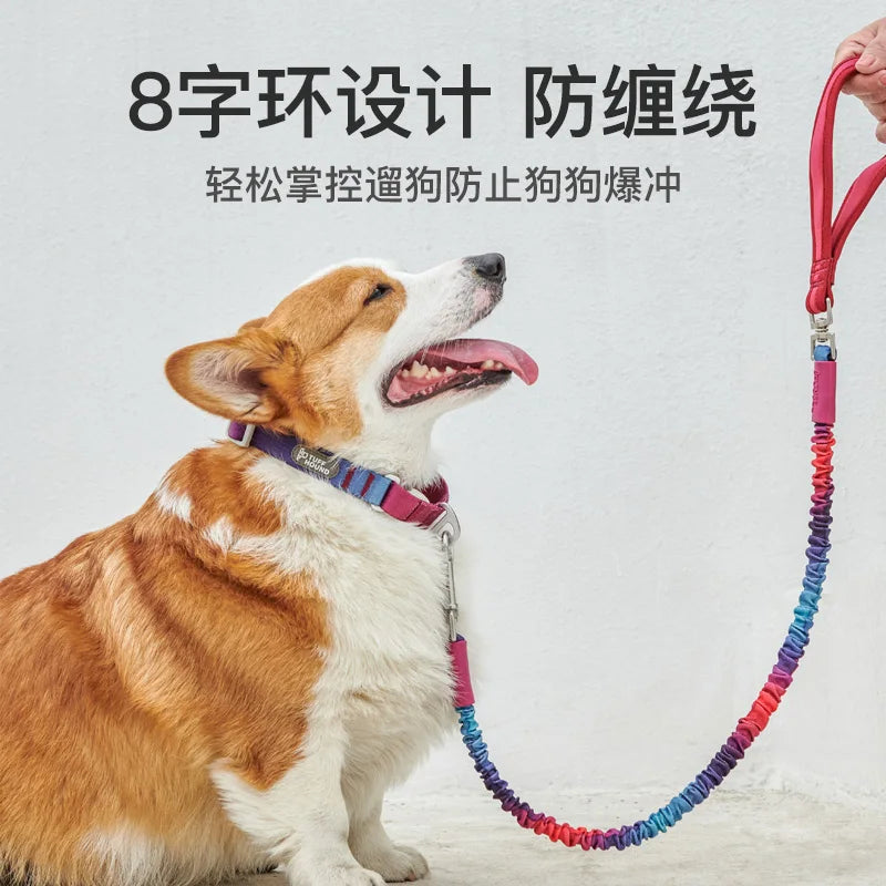 Guia - Coleira Elástica para Cães com Absorção de Impacto