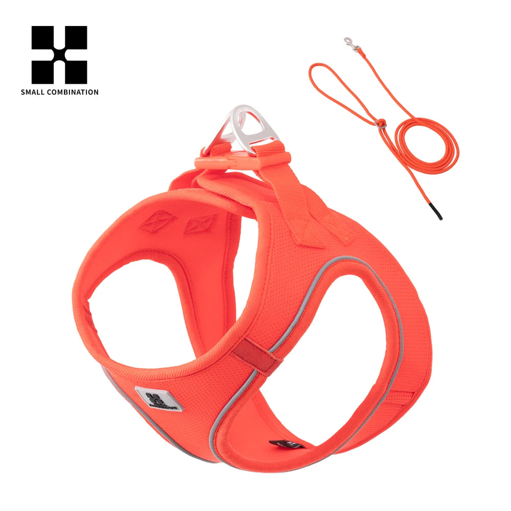 Conjunto de Coleira Ajustável para Cães Pequenos/Médios e Gatos