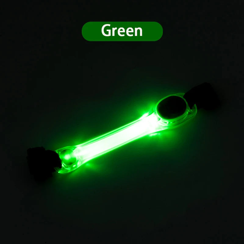 Correia para Coleira com Luz LED para Cães – Anti-perda.