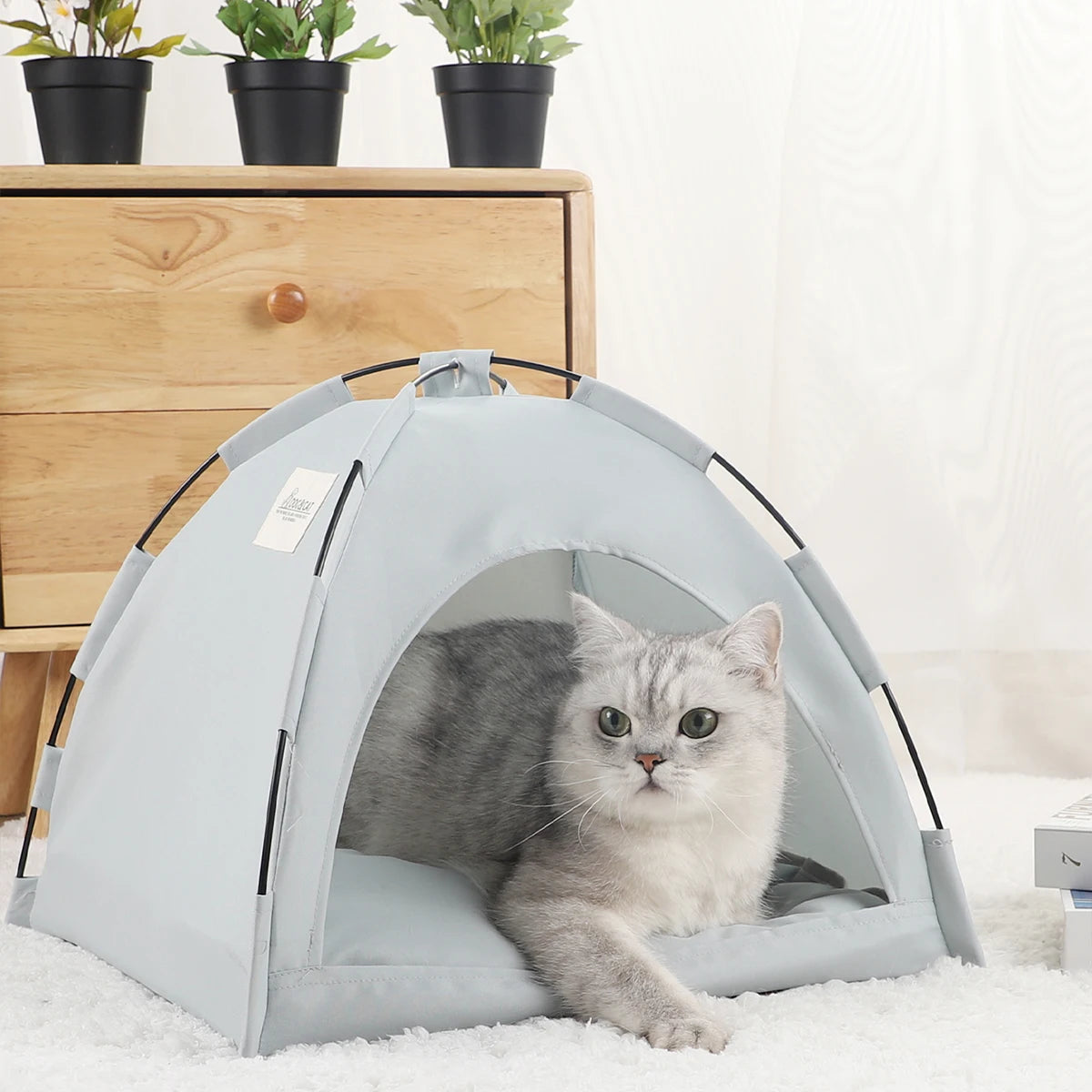 Cabaninha para Gatos
