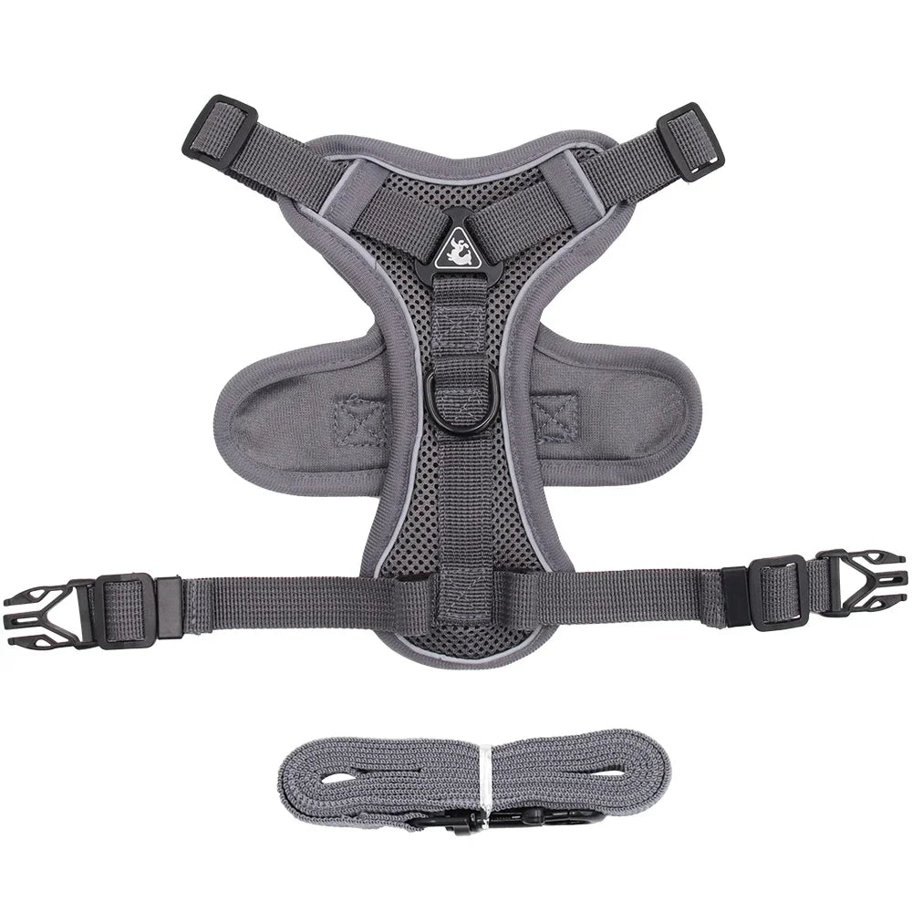 Conjunto de Arnês e Coleira para Pets - Refletivo para passeios noturnos