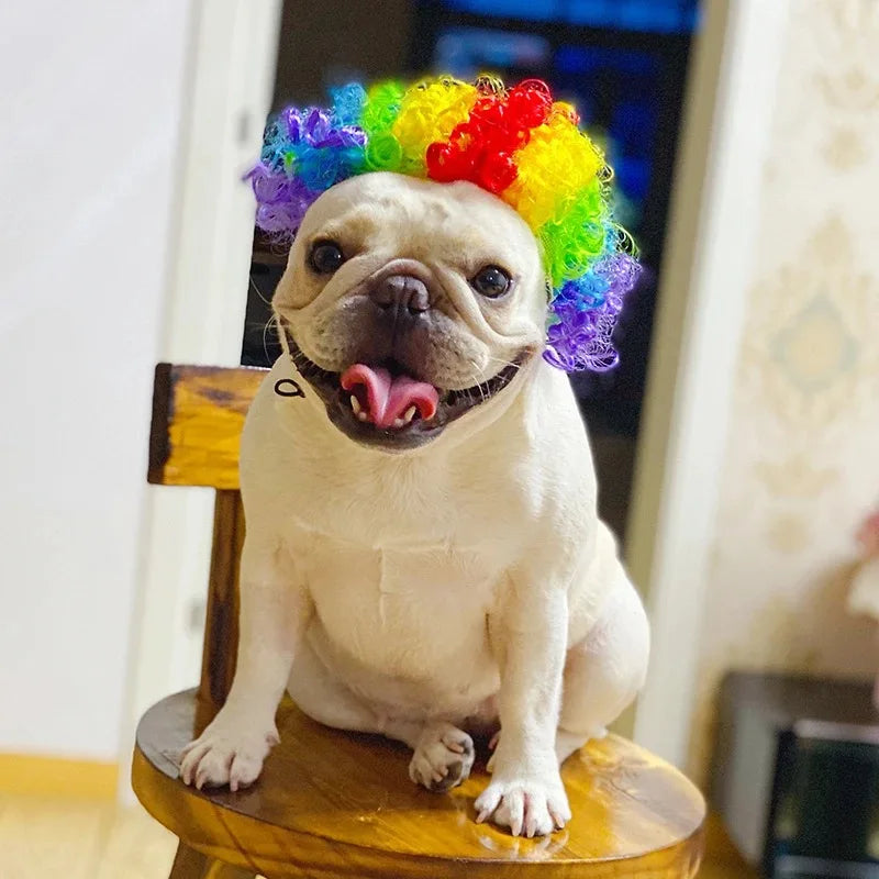 Perucas Divertidas – Acessórios para Cães e Gatos