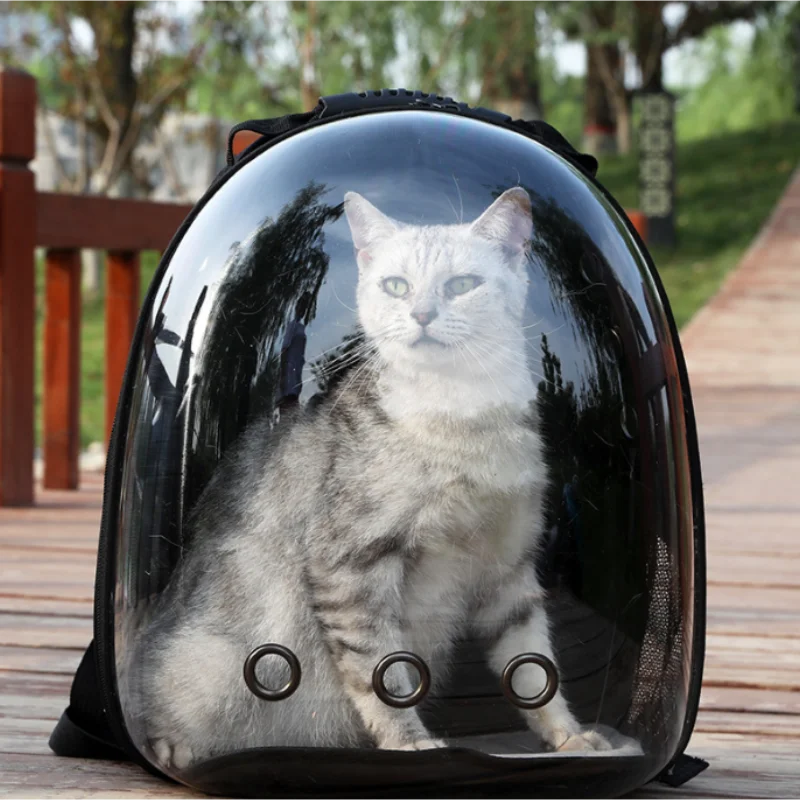 Mochila Cápsula Espacial Transparente para Gatos – Transporte Portátil e Respirável.