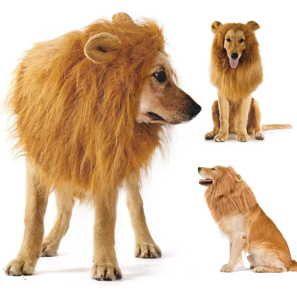 Peruca Crina de Leão para Pets – Transforme Seu Pet no Rei da Selva! 🦁