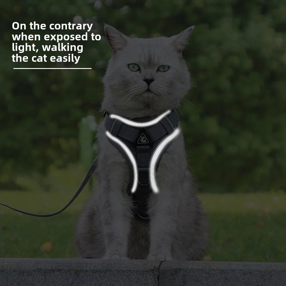 Conjunto de Arnês e Coleira para Pets - Refletivo para passeios noturnos