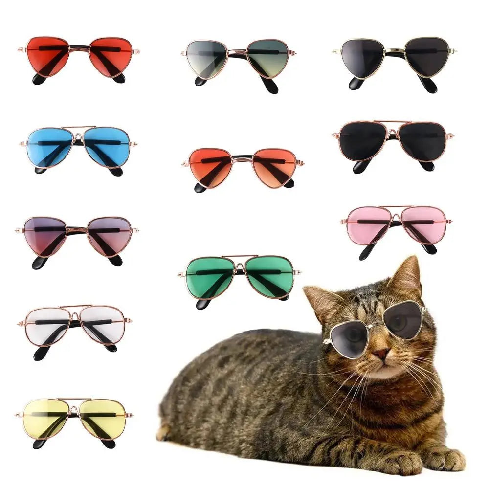 Óculos de Sol para Pets – Estilo, Charme e Proteção para Cães e Gatos