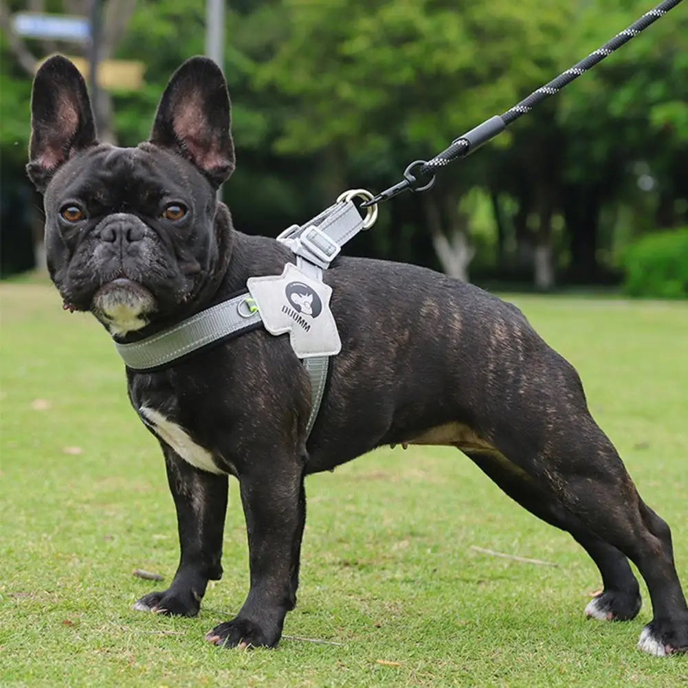 Coleira Peitoral para Cachorro