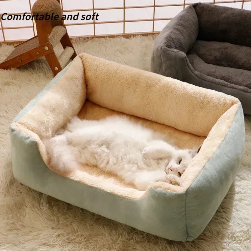 Caminha Pet Soft