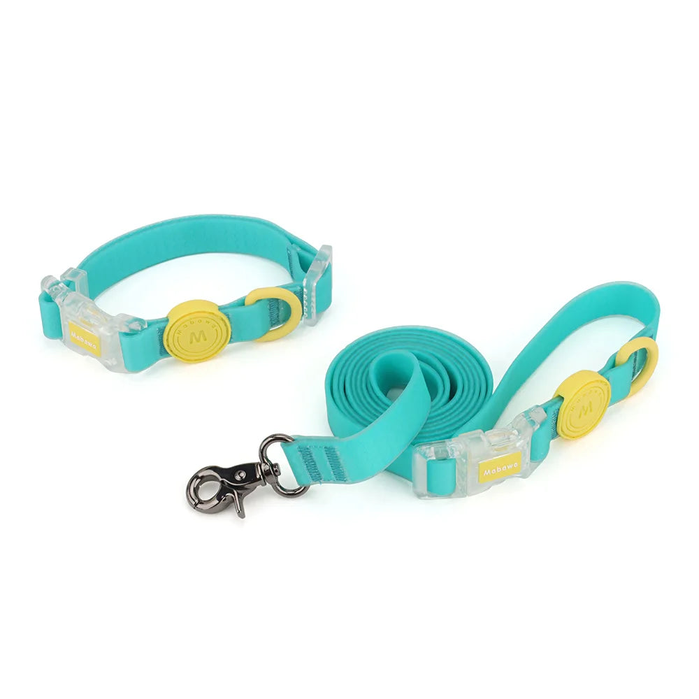 Coleira ou Conjunto Candy Color para Pets