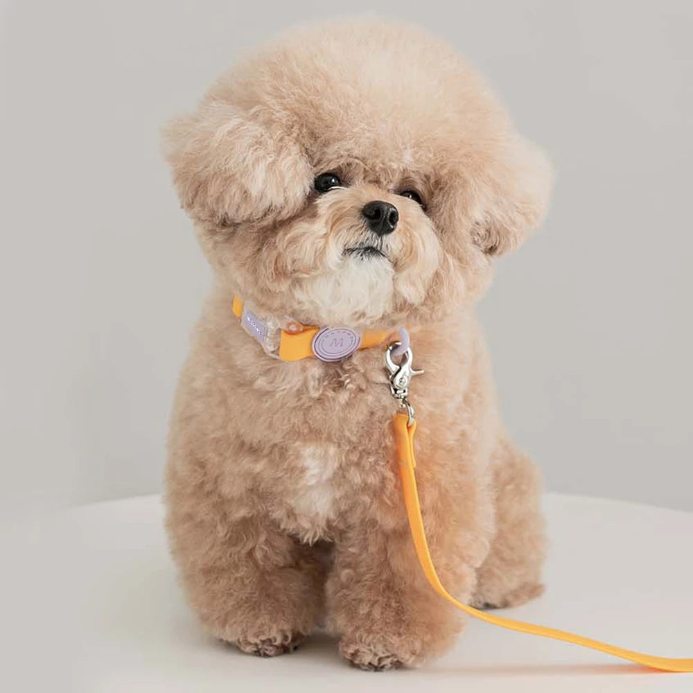 Conjunto - Coleira e Guia Candy Color para Pets