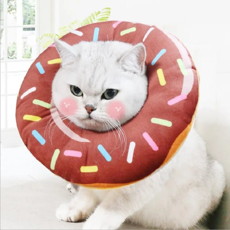 Colar de Recuperação para Gatos