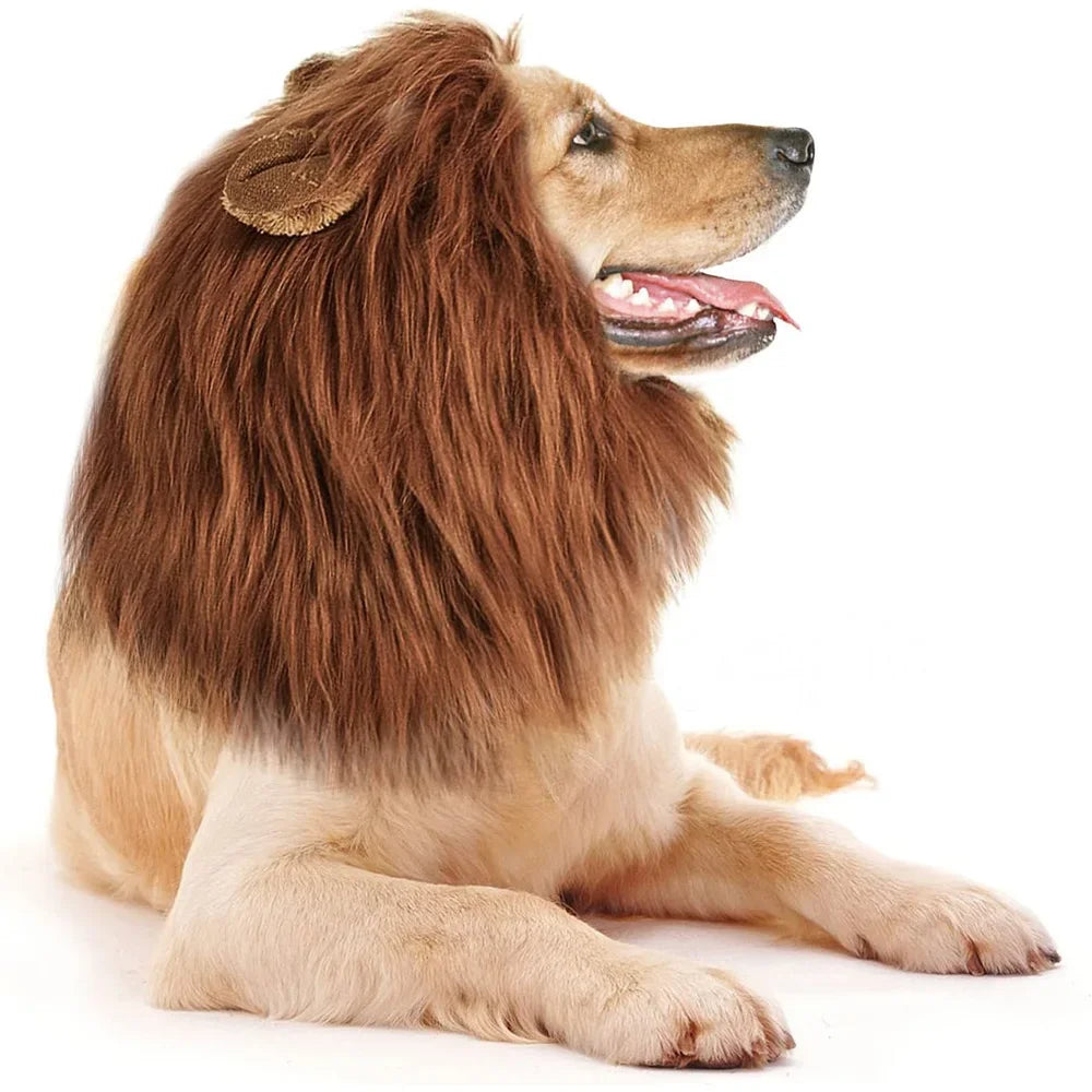 Peruca Crina de Leão para Pets – Transforme Seu Pet no Rei da Selva! 🦁