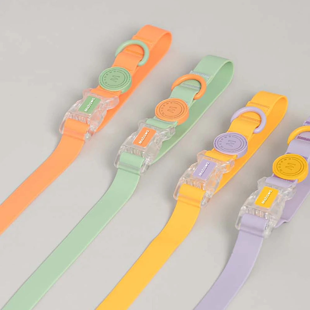 Conjunto - Coleira e Guia Candy Color para Pets