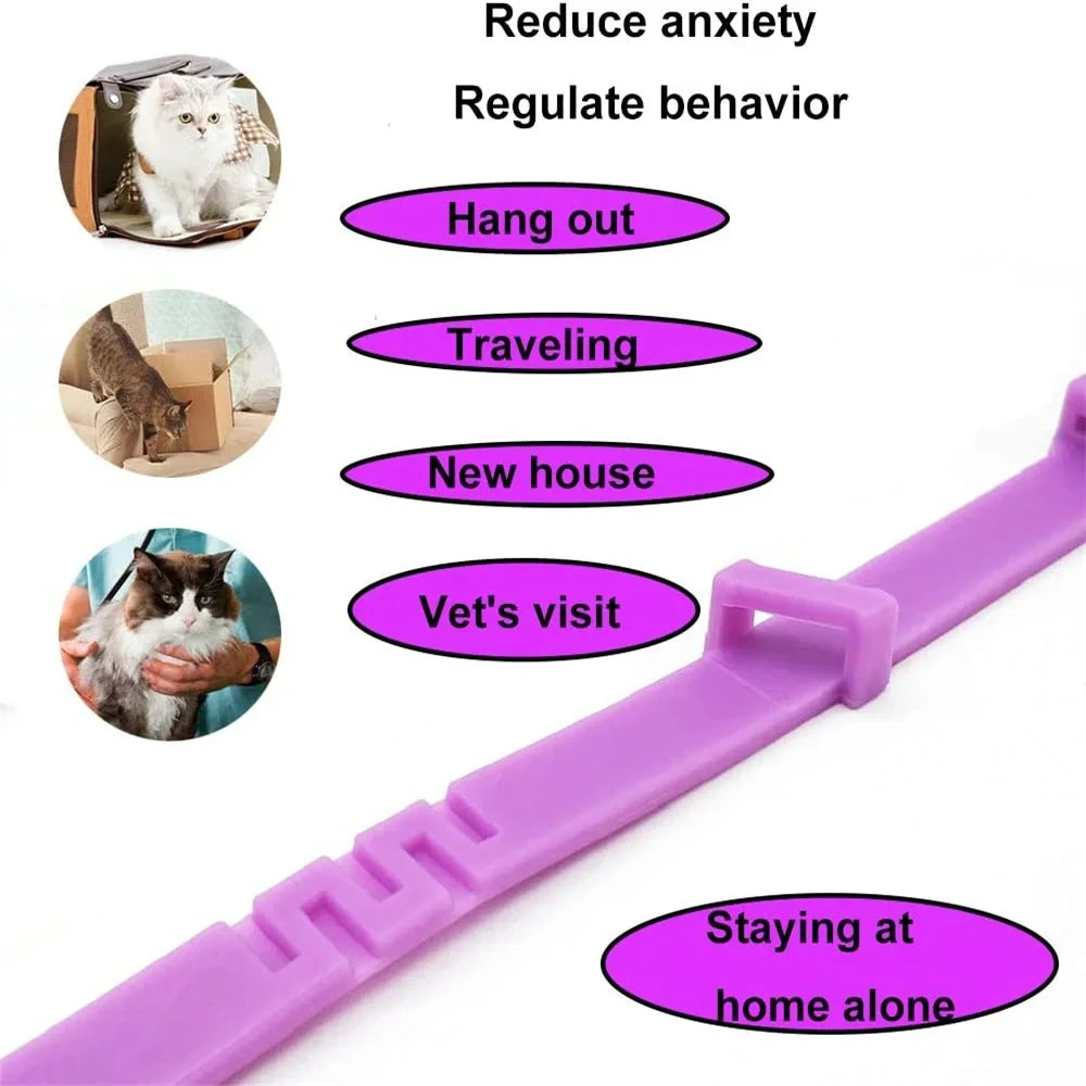 Coleira Calmante para Cães e Gatos