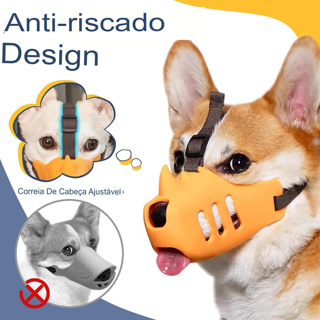 Focinheira para Cães