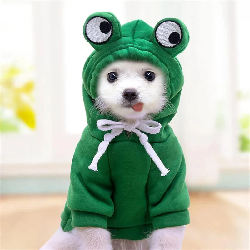 Roupa para Cães - Blusa Sapinho com Capuz