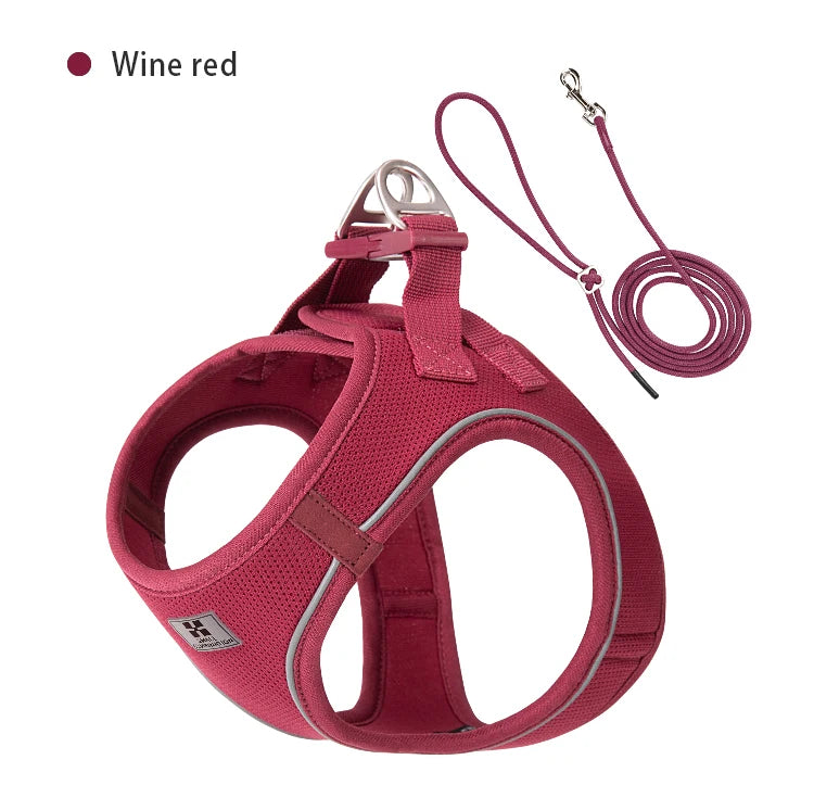 Conjunto de Coleira Ajustável para Cães Pequenos/Médios e Gatos