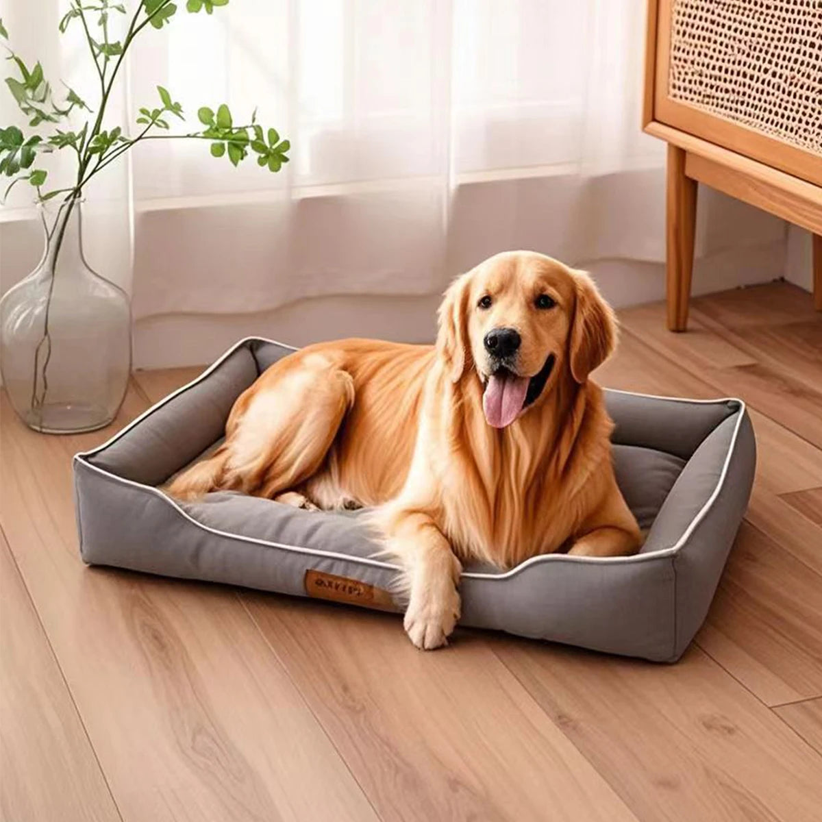 Caminha Premium para Pets
