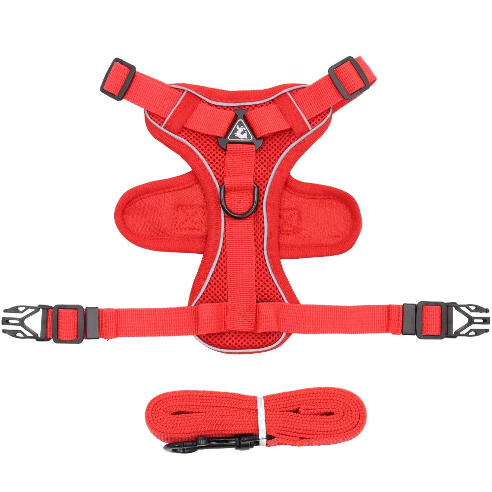 Conjunto de Arnês e Coleira para Pets - Refletivo para passeios noturnos