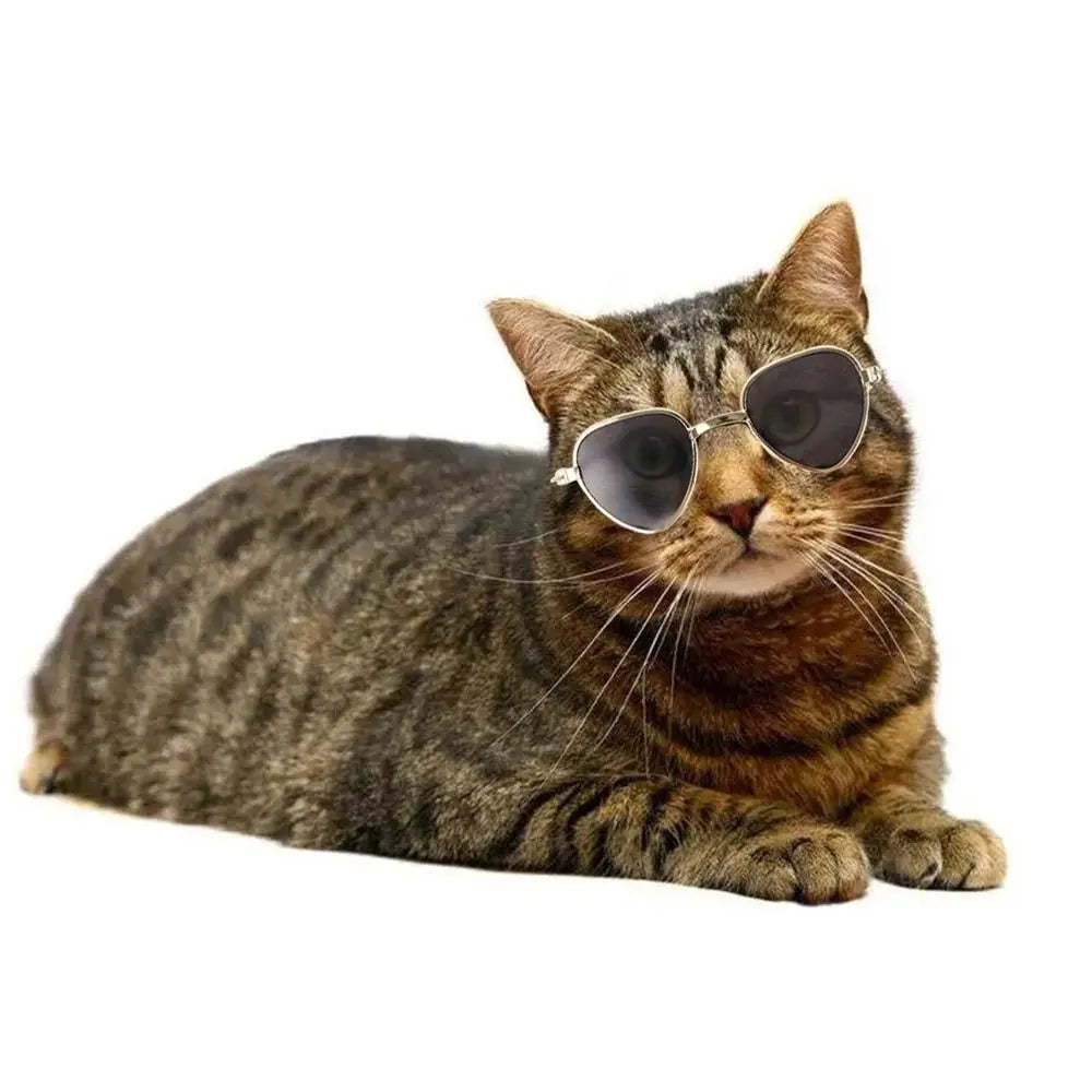 Óculos de Sol para Pets – Estilo, Charme e Proteção para Cães e Gatos