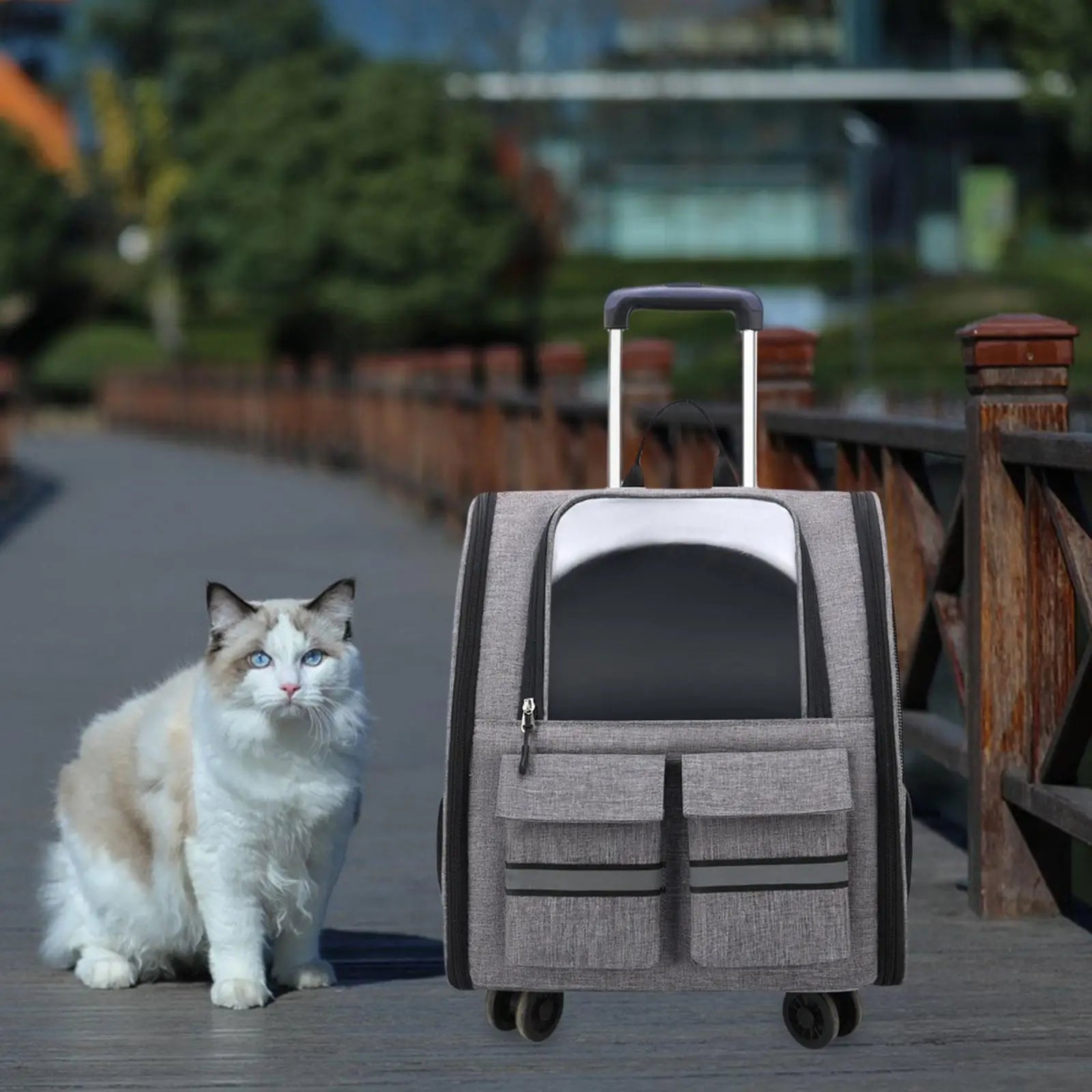 Maleta/Mochila Portátil de Carrinho Transparente para Transporte de Gatos e Cães