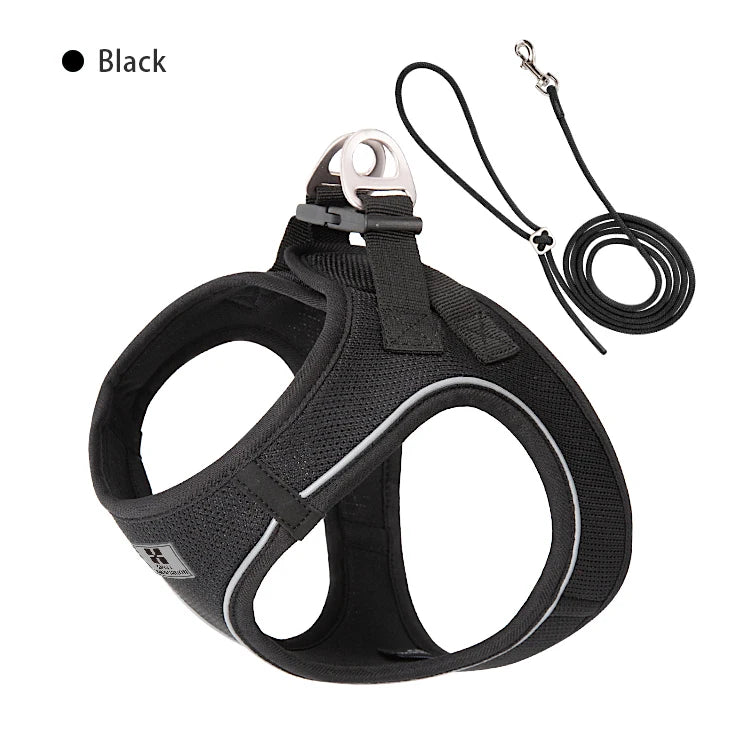 Conjunto de Coleira Ajustável para Cães Pequenos/Médios e Gatos