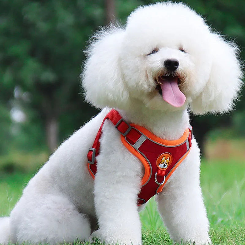 Pet Dog Harness and Leash Set Adjustable Flannel Chest Harness Reflective Breathable For Small Dogs Teddy Chihuahua Pet Supplies
