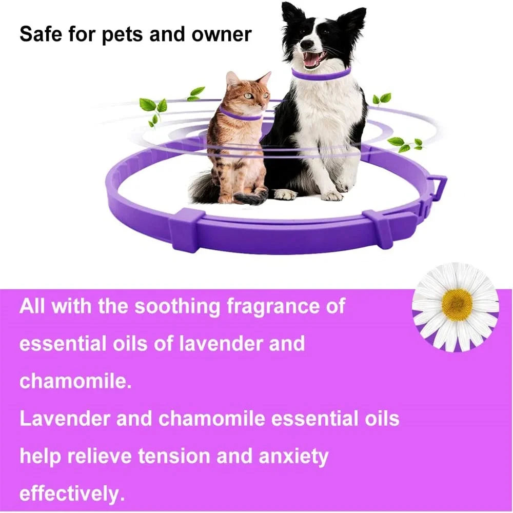Coleira Calmante para Cães e Gatos