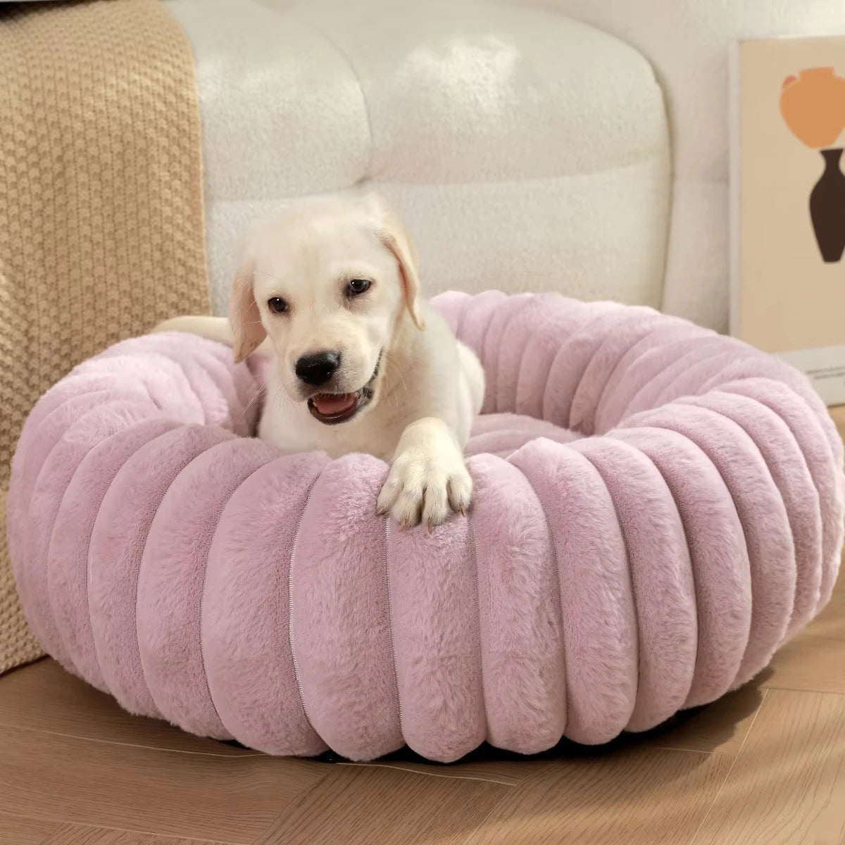Caminha Circular para Cães