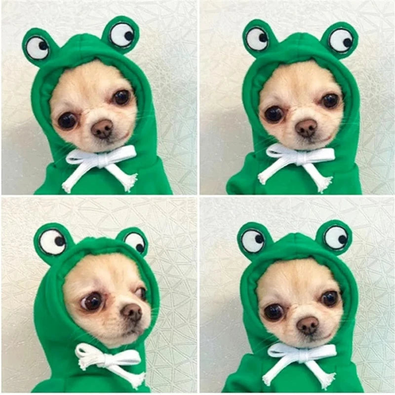 Roupa para Cães - Blusa Sapinho com Capuz