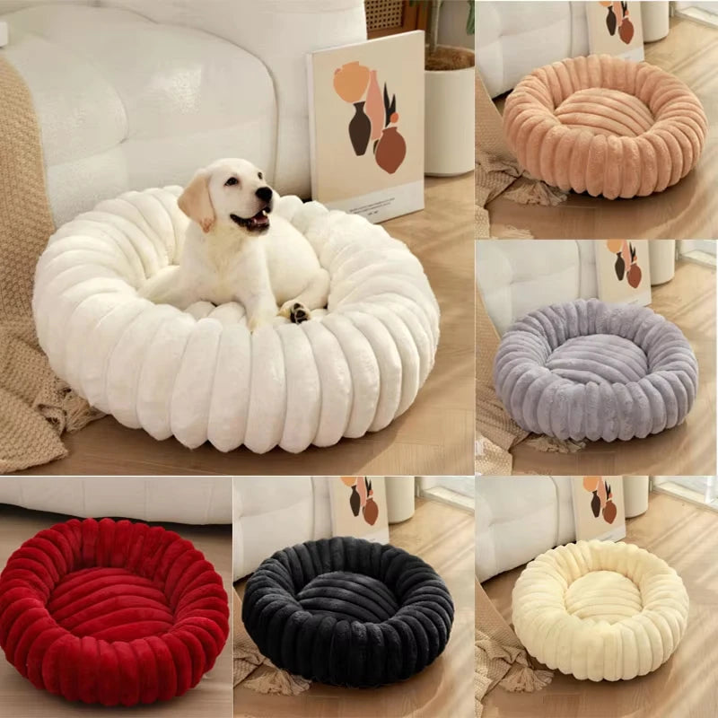 Caminha Circular para Cães