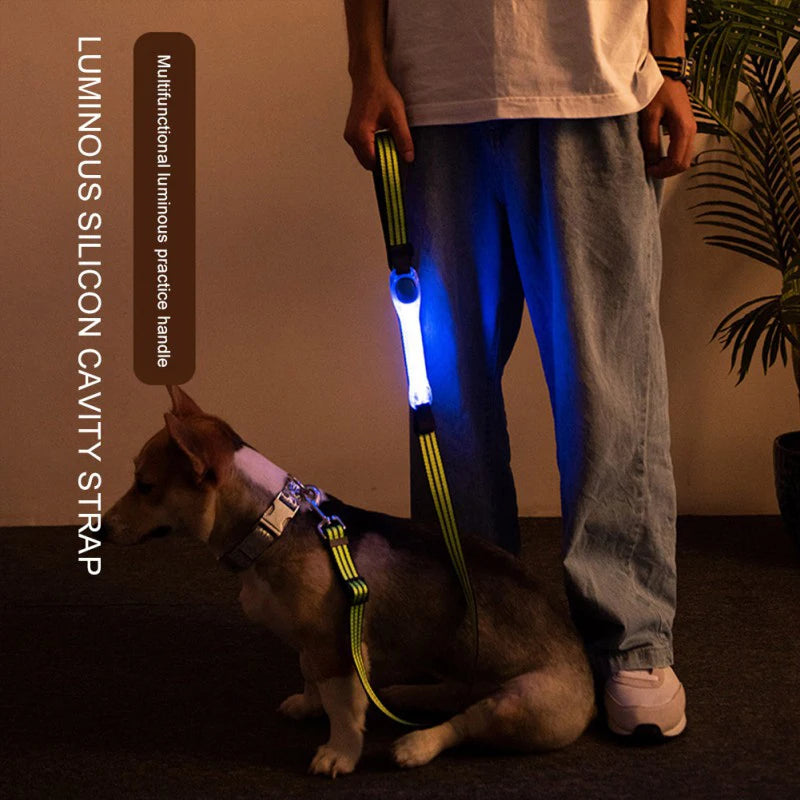 Correia para Coleira com Luz LED para Cães – Anti-perda.