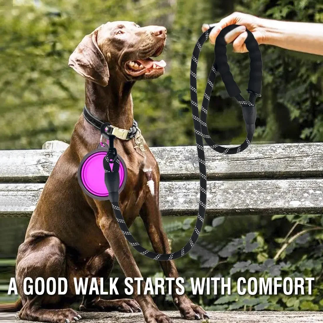 Guia Reforçada para Cães – Reflexiva e Resistente para Todas as Raças