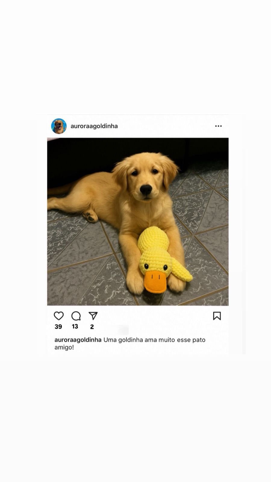Instagram shop