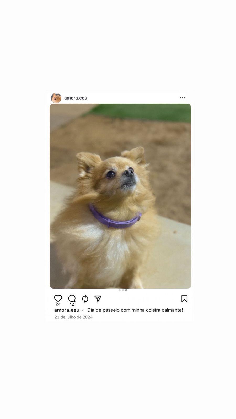 Instagram shop