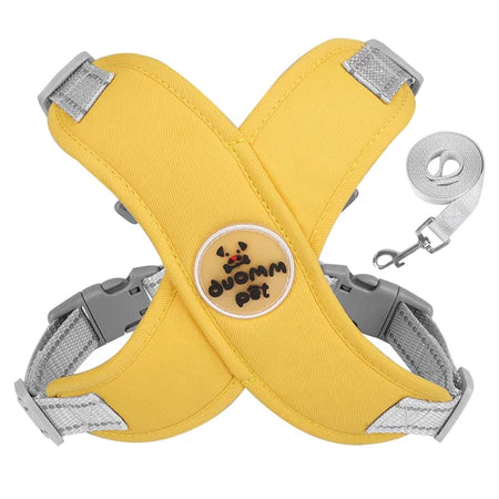 Conjunto de Peitoral e Guia para Cachorro