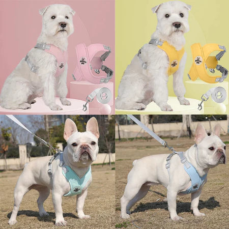 Conjunto de Peitoral e Guia para Cachorro