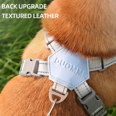 Conjunto de Peitoral e Guia para Cachorro