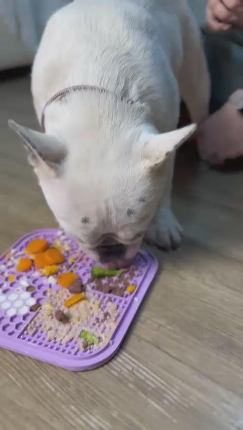 Esteira de Alimentação Lenta