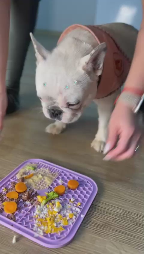 Esteira de Alimentação Lenta