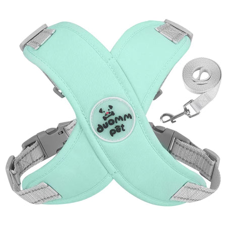 Conjunto de Peitoral e Guia para Cachorro